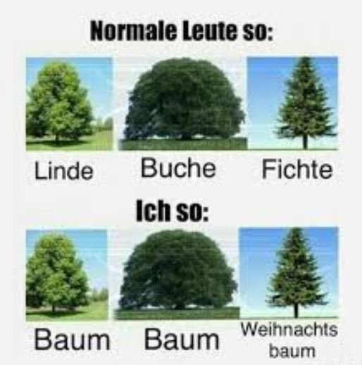 Baum.JPG